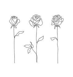 Rose flower set continuous drawing Royalty Free Vector Image