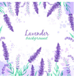 Lavender Background With Flowers Watercolor