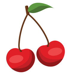 Red Cherry On A White Background