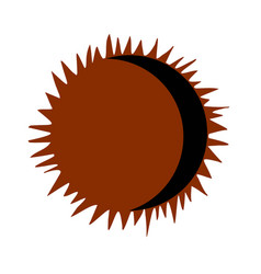 Solar Eclipse