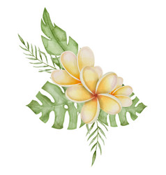 Plumeria Flower Bouquet Watercolor Clip Art