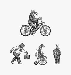 A Fox With Pipe In Suit Rides Bicycle Bear