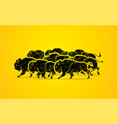 Group Of Buffalo Running Graphic