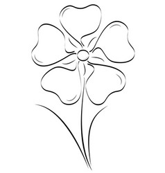 Sketch Of A White Flower On A Stem In And Jpg