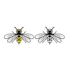 Yellow Jacket Design