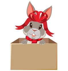 Cute Rabbit In The Box