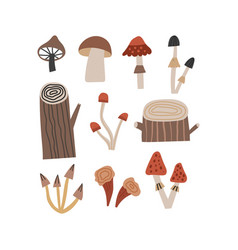 Hand Drawn Woodland Types Of Mushrooms And Tree