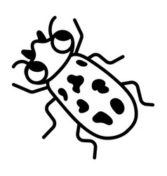 Cucumber Beetle