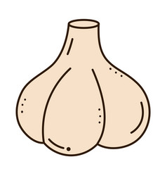 Garlic Head Icon