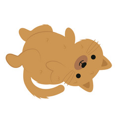 Cute Cat Design