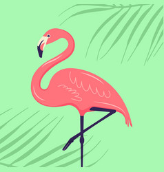 Pink Flamingo Standing On One Leg