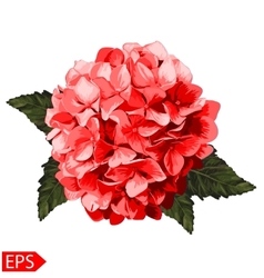 Red Realistic Hydrangea Lavender