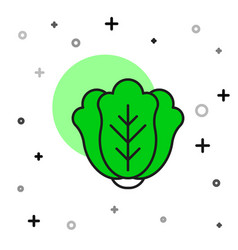 Filled Outline Fresh Cabbage Vegetable Icon