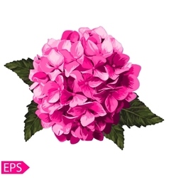 Pink Realistic Hydrangea Lavender