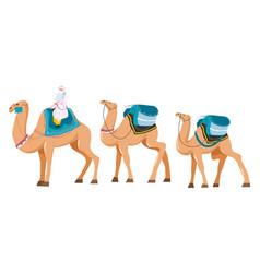 Sheikh Riding Camel Desert Traveling