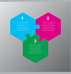 Three Steps Parts Piece Puzzle Hexagon Infographic