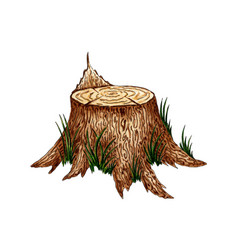 Watercolor Of A Tree Stump With Grass Cut Tree