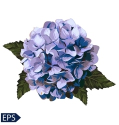 Blue Realistic Hydrangea Lavender