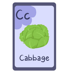 Education Flash Card Abc Letter C - Cabbage