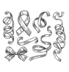 Ribbon And Bow Set Collection Of Decorative