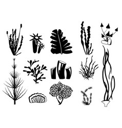 Seaweed Silhouettes Underwater River Plants Algae