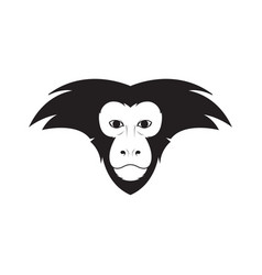 Black Face Lion-tailed Macaque Logo Design