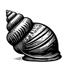 Sea Shell Monochrome Clip Art