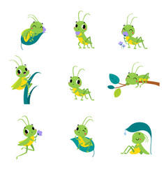 Cute Green Grasshopper Character Engaged