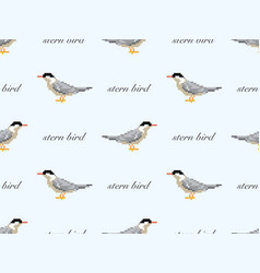 Stern Bird Cartoon Character Seamless Pattern