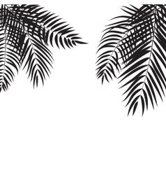 Beautiful palm tree leaf silhouette background Vector Image