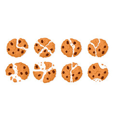 Cookie Crumbs Cartoon Chocolate Chip Biscuits