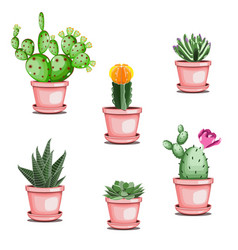 Cactuses And Succulents Set