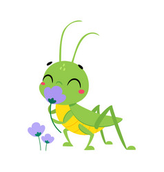 Cute Green Grasshopper Character Smell Flower