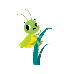 Cute Green Grasshopper Character Climb Grass Blade