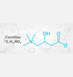 Carnitine Food Supplement Molecule Chemical