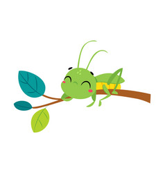 Cute Green Grasshopper Character Lying On Tree