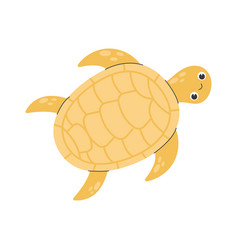 Funny Amusing Sea Turtle On White Background