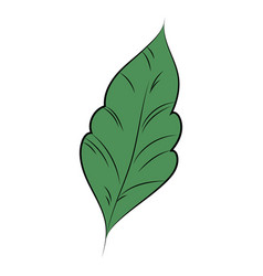 Simple Leaf Flat