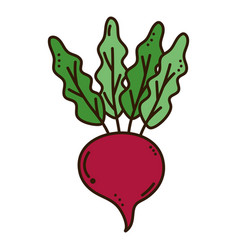 Radish Icon Image