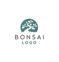 Bonsai tree Royalty Free Vector Image - VectorStock