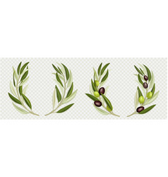 Olive Branch Wreath With Green Leaves