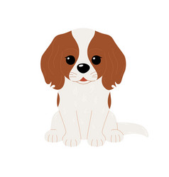 Cute Cavalier King Charles Spaniel Dog