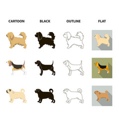 Pikinise Dachshund Pug Peggy Dog Breeds Set