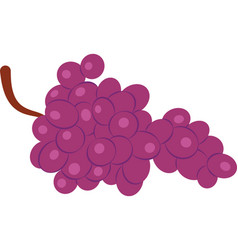 Grapes Berries Icon