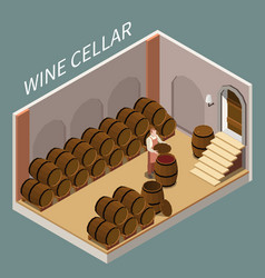 Wine Cellar Isometric