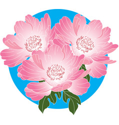 Peony Flower With Leaf On Blue Background