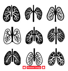 High Quality Human Lung Silhouette Collection For