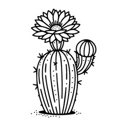 Pencil Sketch Cactus Drawing