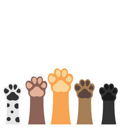 Paws Up Pets Set Isolated On White Background