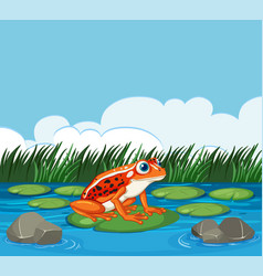 Bright Frog Sitting On A Lily Pad